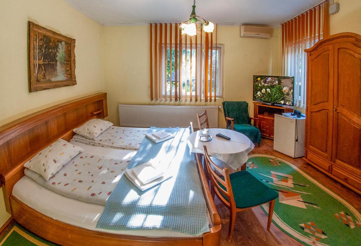 Pensiunea Sub Cetate Deva Extérieur photo